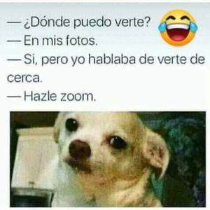 Meet your Posher, Mark